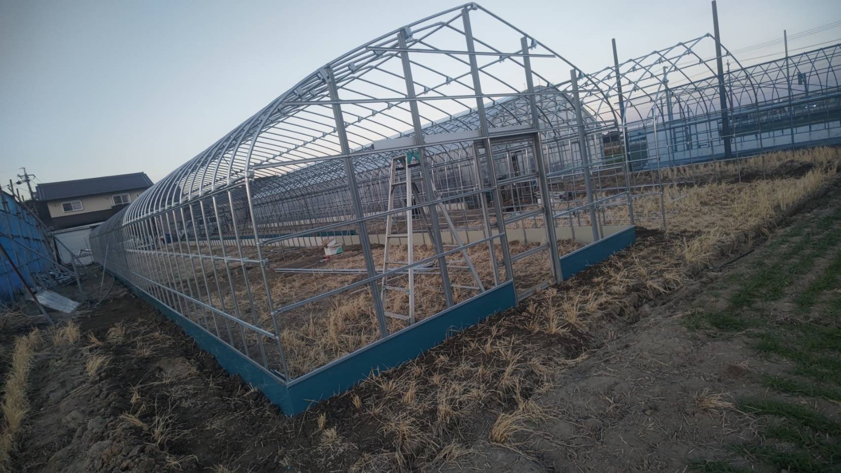 パイプハウス単棟建設4